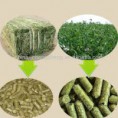 /album/pellet-per-mangimi-per-animali/erba-medica-jpg/